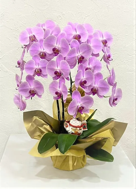 380 2022-05-11 at 10.33.17 PM.jpeg