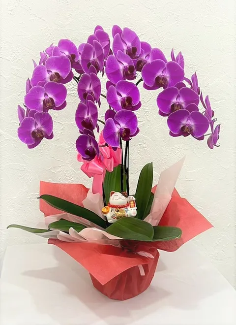 380 2022-05-11 at 10.33.14 PM.jpeg