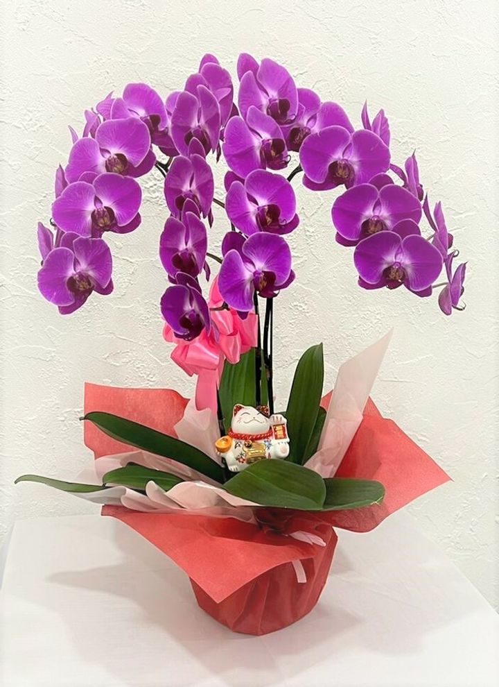 380 2022-05-11 at 10.33.14 PM.jpeg