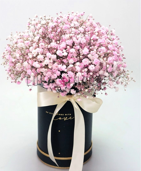 WhatsApp Image 2022-05-26 at 9.40.40 PM w.PNG