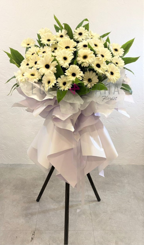 180 WhatsApp Image 2022-06-08 at 6.58.59 PM w.PNG