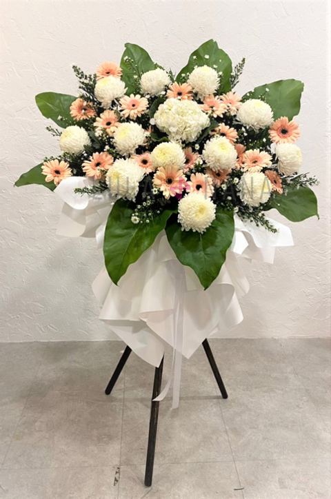 300 WhatsApp Image 2022-06-09 at 4.34.05 PM w.PNG