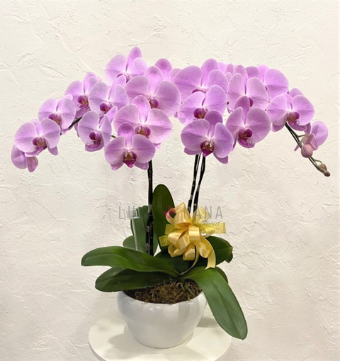 398 2022-06-23 at 7.57.20 PM w.png