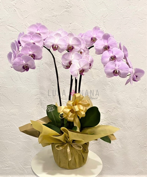 398 2022-06-23 at 7.57.21 PM w.png