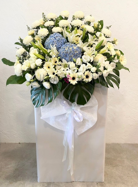 WhatsApp Image 2022-08-01 at 6.44.31 PM w.png