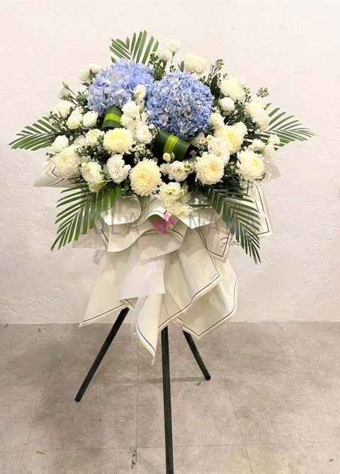 WhatsApp Image 2022-08-01 at 6.44.33 PM w.png