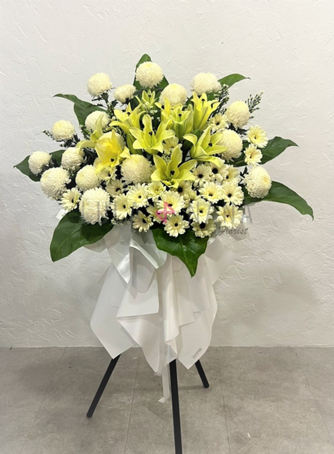 WhatsApp Image 2022-08-01 at 9.27.06 AM w.png