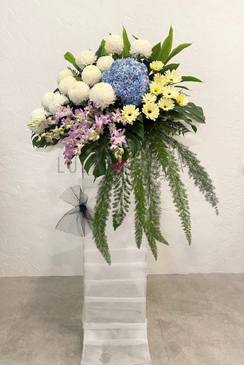 WhatsApp Image 2022-08-05 at 12.49.42 PM w.png