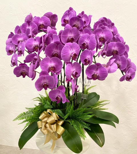 1200 2022-06-23 at 7.57.22 PM w.png