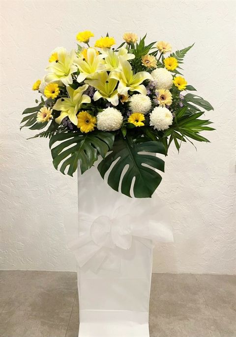 WhatsApp Image 2022-09-21 at 1.32.45 PM