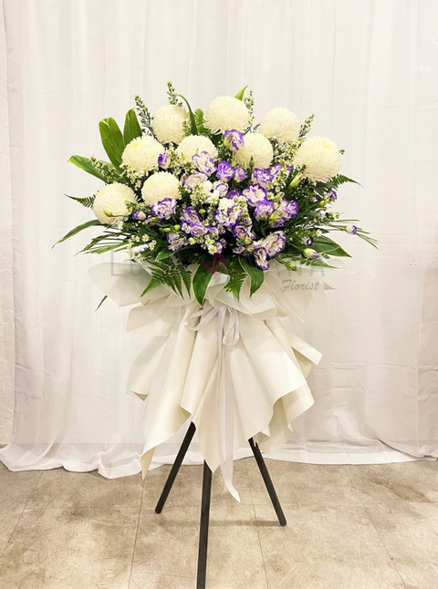 photo_2022-10-19_15-23-21 w