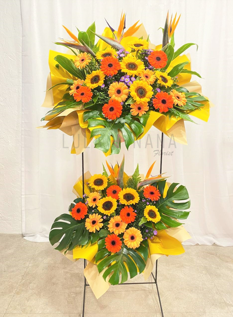 photo_2022-11-11_13-52-47 W