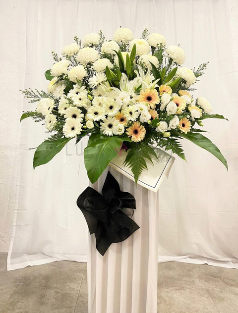 photo_2022-11-08_13-20-24 W