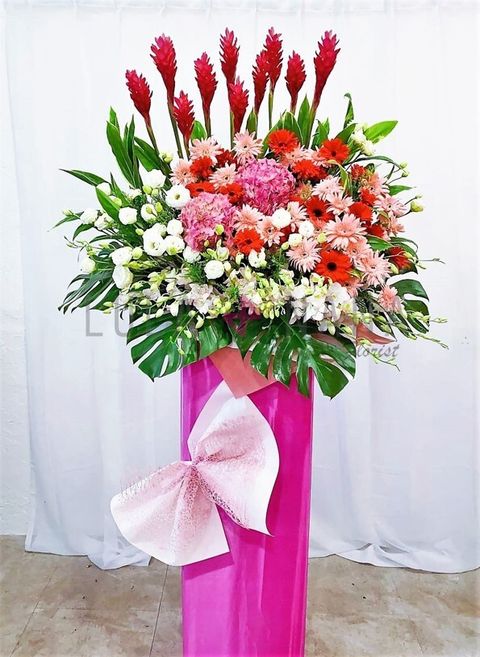 photo_2023-02-03_12-29-43 w