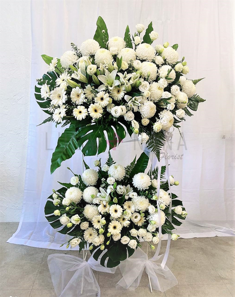 photo_2023-01-28_12-19-23 w