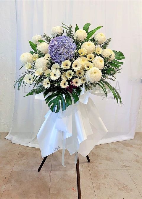 photo_2023-02-06_16-08-32 w