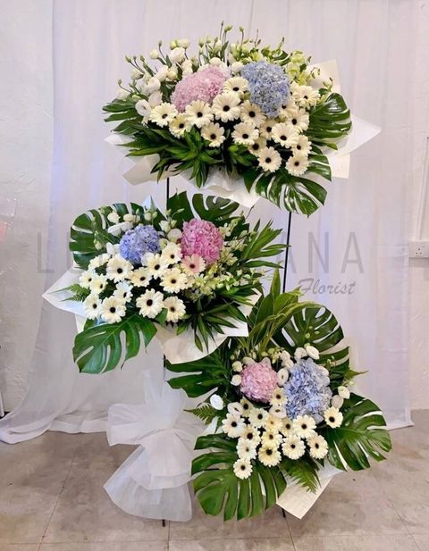 photo_2023-03-09_18-05-04 w