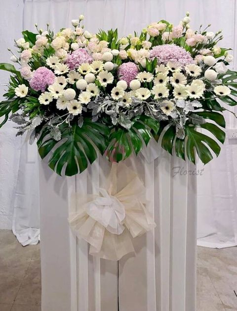 photo_2023-03-09_18-05-50 w