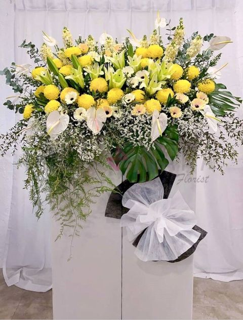 photo_2023-03-09_18-06-00 w