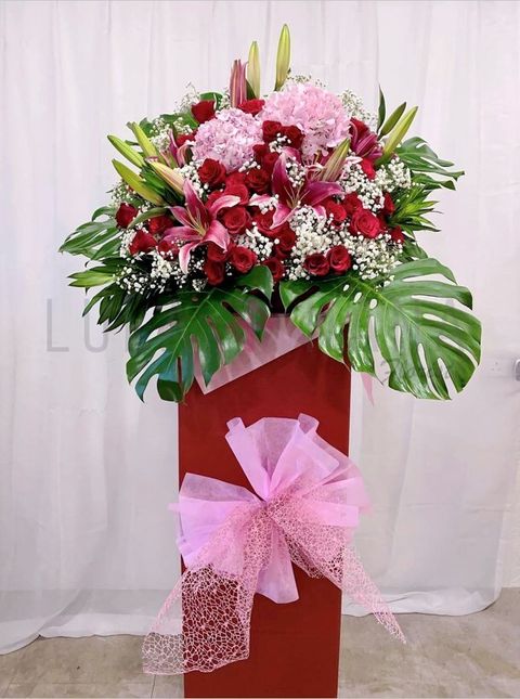 photo_2023-03-10_15-14-59 w