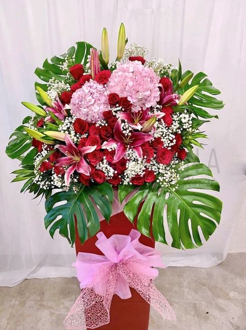 photo_2023-03-10_15-14-52 w