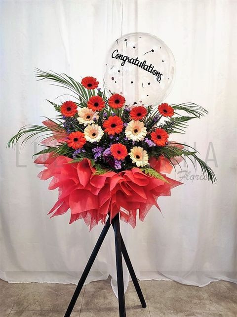 photo_2023-04-06_15-27-20 w