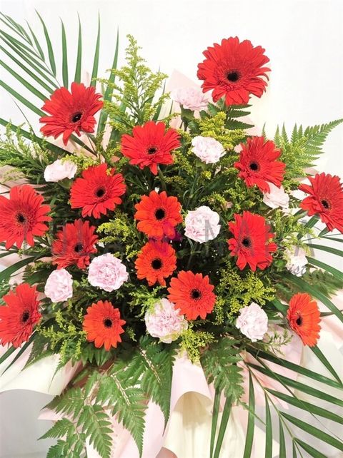 photo_2023-05-02_14-41-37 W