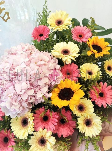 photo_2023-05-02_14-41-48 w