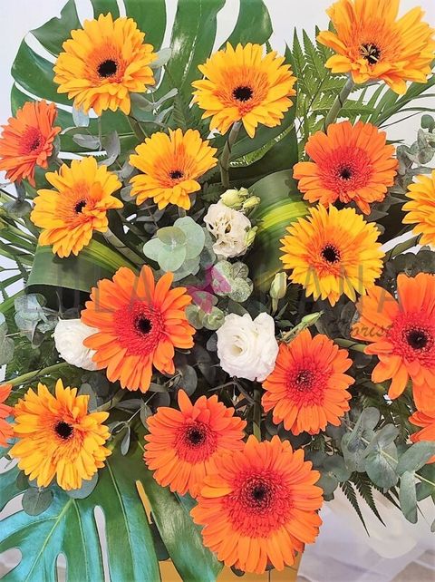 photo_2023-05-16_18-36-30 W