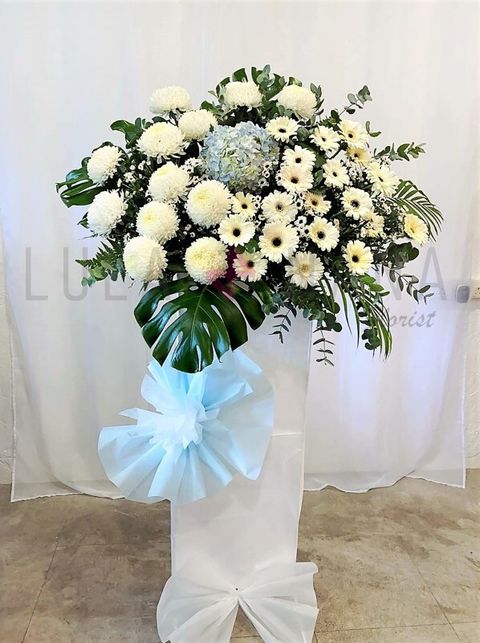 photo_2023-05-17_13-37-11 W