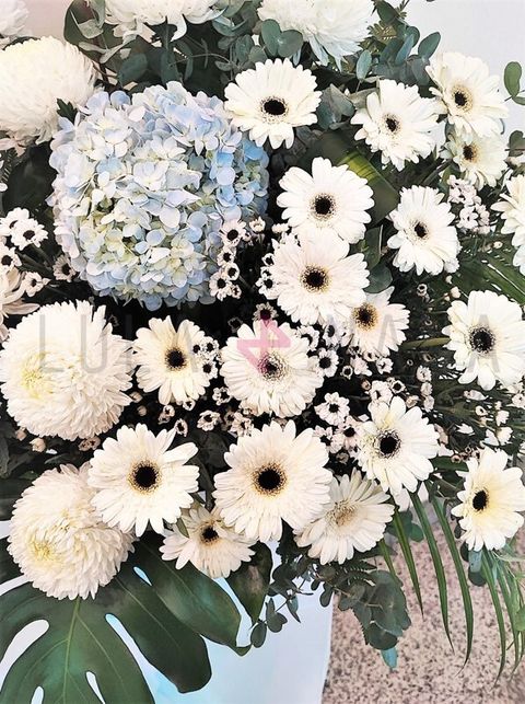 photo_2023-05-16_18-34-23 W