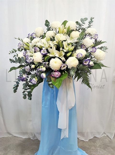 photo_2023-05-16_18-31-52 W