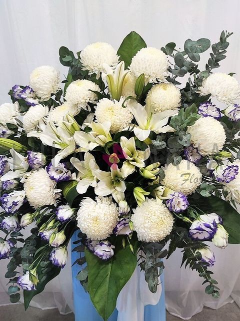 photo_2023-05-16_18-32-11 W