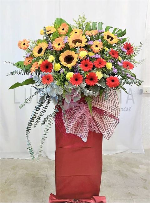 photo_2023-05-22_14-31-34 W