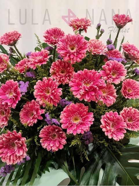 photo_2023-08-10_18-38-25 W