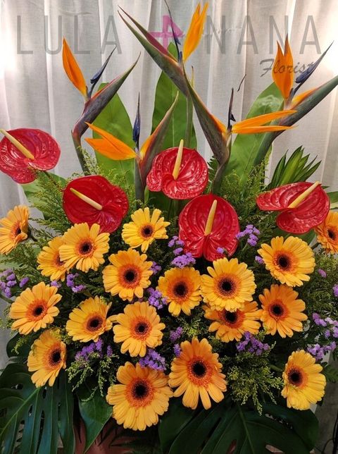 photo_2023-08-10_18-38-16 W