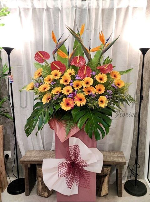 photo_2023-08-08_13-29-34 W