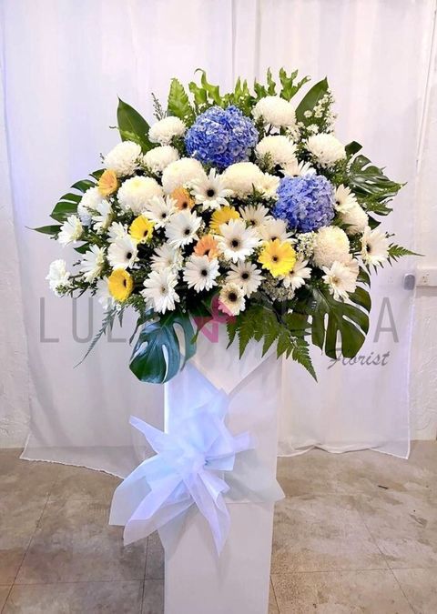 photo_2023-08-27_15-29-00 W