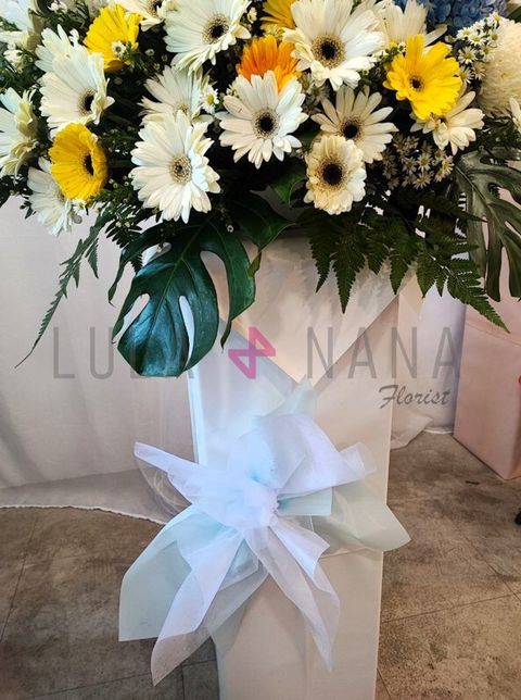 photo_2023-08-27_16-03-52 W