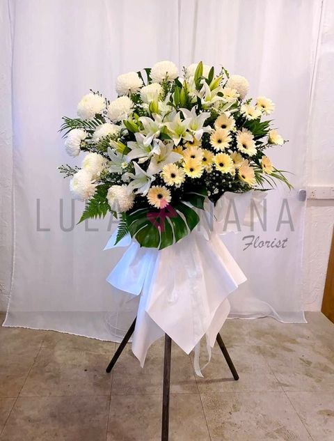 photo_2023-08-27_15-29-13 W