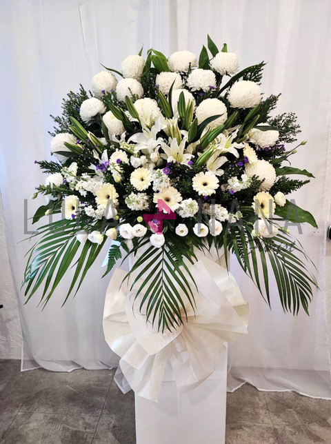 photo_2023-10-17_11-21-47 W