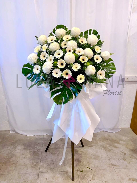 photo_2023-10-25_11-55-31 W