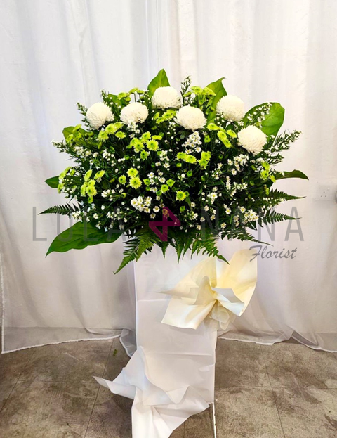 photo_2023-11-01_12-43-18 W