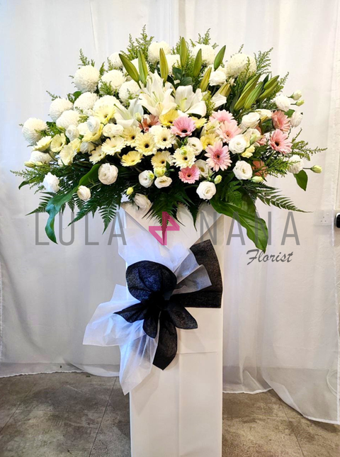 photo_2023-11-01_12-43-25 W