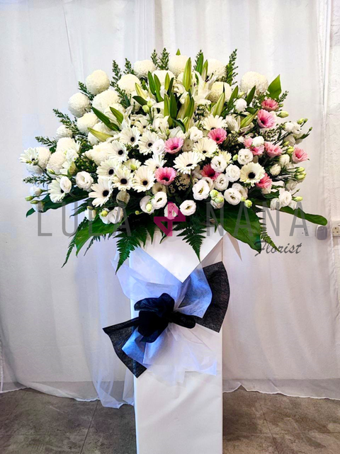 photo_2023-11-07_16-00-52 W