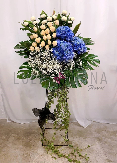 photo_2024-01-06_23-04-07 W