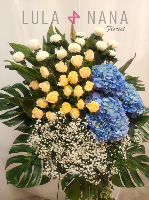 photo_2024-01-10_17-39-51 W