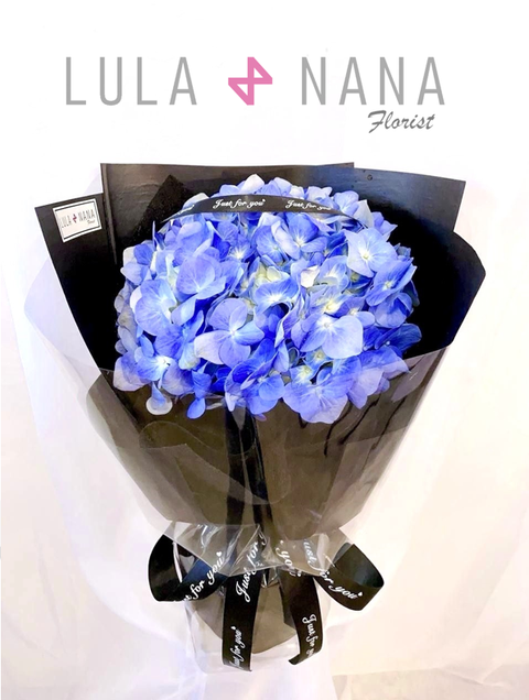 photo_2024-01-04_22-11-48 W