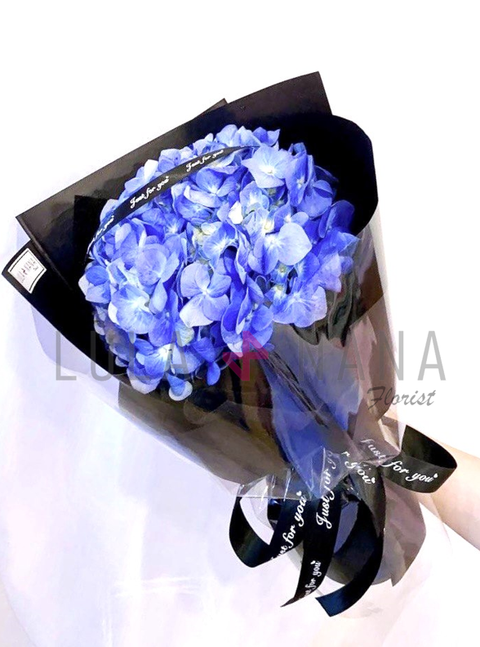 photo_2024-01-04_22-12-32 W