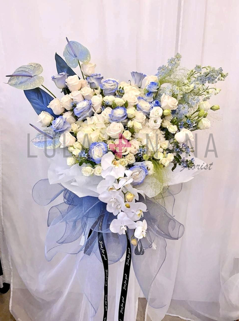 photo_2024-01-06_22-34-03 W